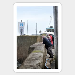 Resting a moment - Seahouses harbour, Northumberland, UK Sticker